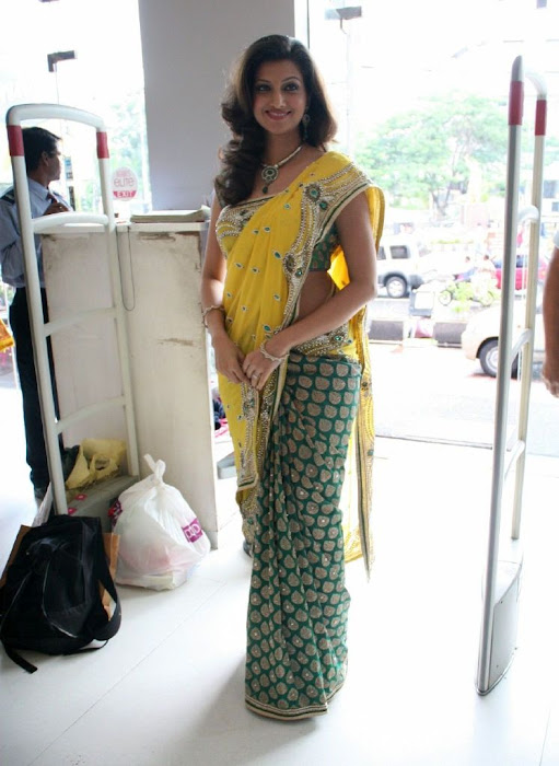 hamsa nandini saree at neeru