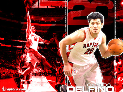 Carlos Delfino Toronto Raptors NBA Wallpaper