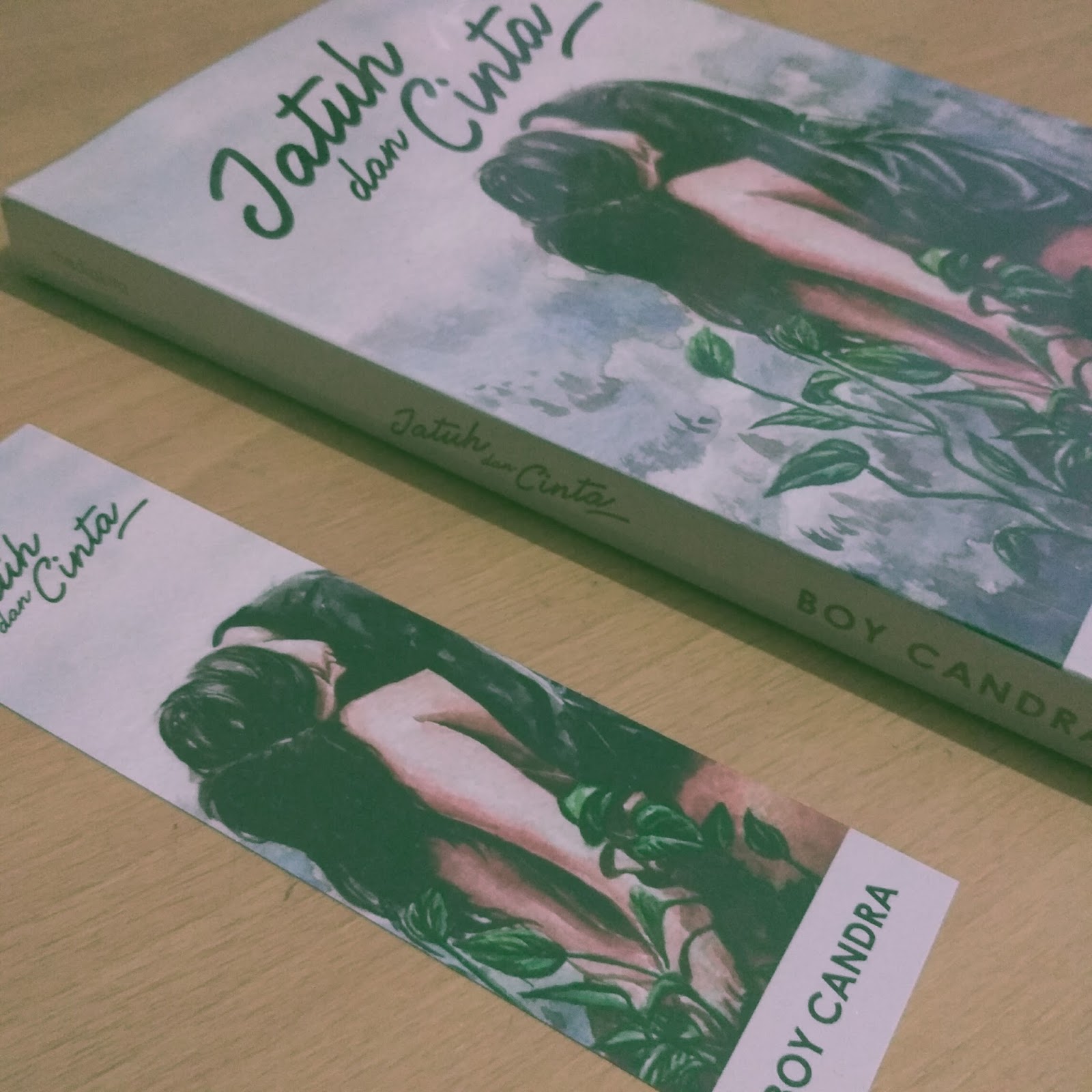 Book Review Jatuh Dan Cinta By Boy Candra Little Mind