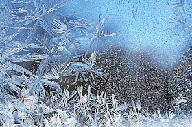 Frost from Polar Vortex by Jeanne Selep