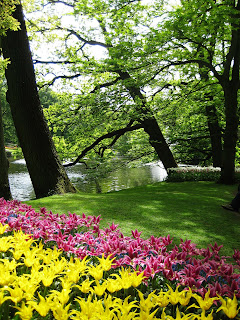 Keukenhof