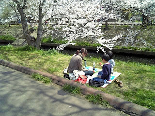 hanami in a river side