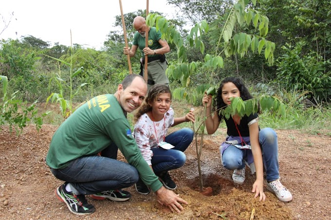  EM PARCERIA COM A PREFEITURA DE CIDADE OCIDENTAL, IBAMA PROMOVE PROJETO SOBRE PRESERVAÇÃO AMBIENTAL