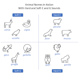 Animal names showing hard and soft C and G sounds