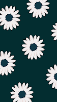 White Daisy Flower Pattern Preppy Wallpaper