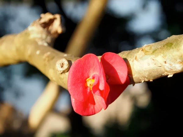 P1300069
