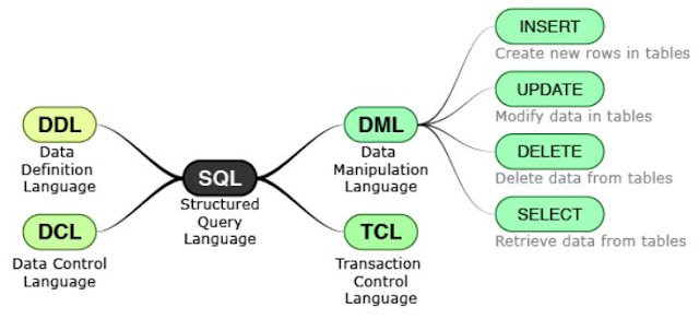 DML Statements - Inserting Data || DBMS Tutorial 6