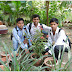 Doing Gardening Activity, JMI