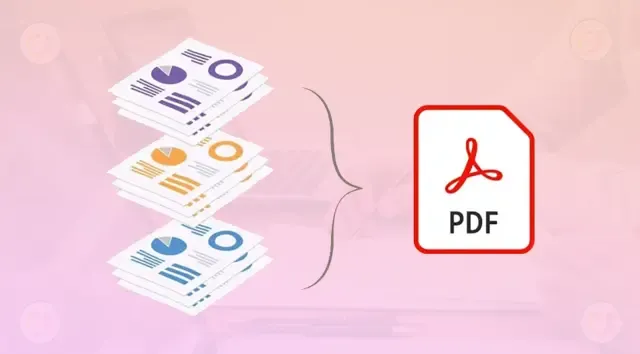 PDF