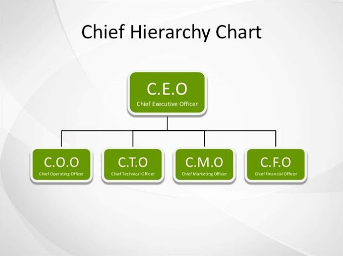 CFO Nedir?