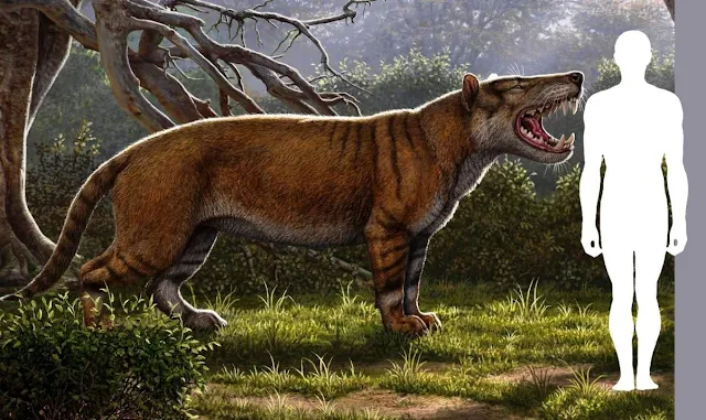 New Species of Giant Fossil Carnivore Found in Kenya