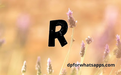 R name dp | R name dp pic | R name photo | R name wallpaper | R name photos