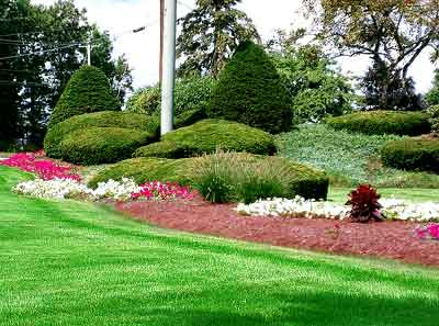 Importance of landscape design