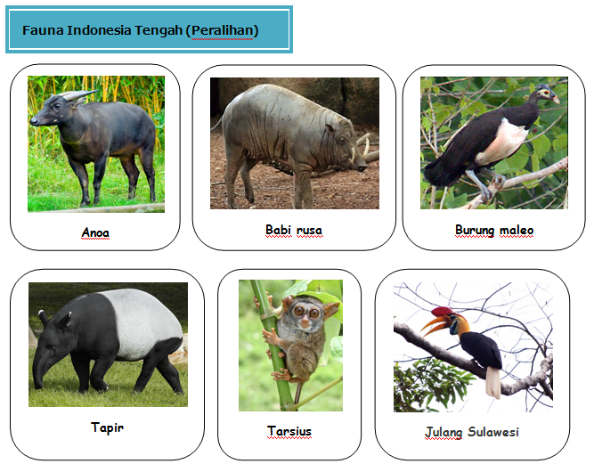 Persebaran Fauna  di  Indonesia 