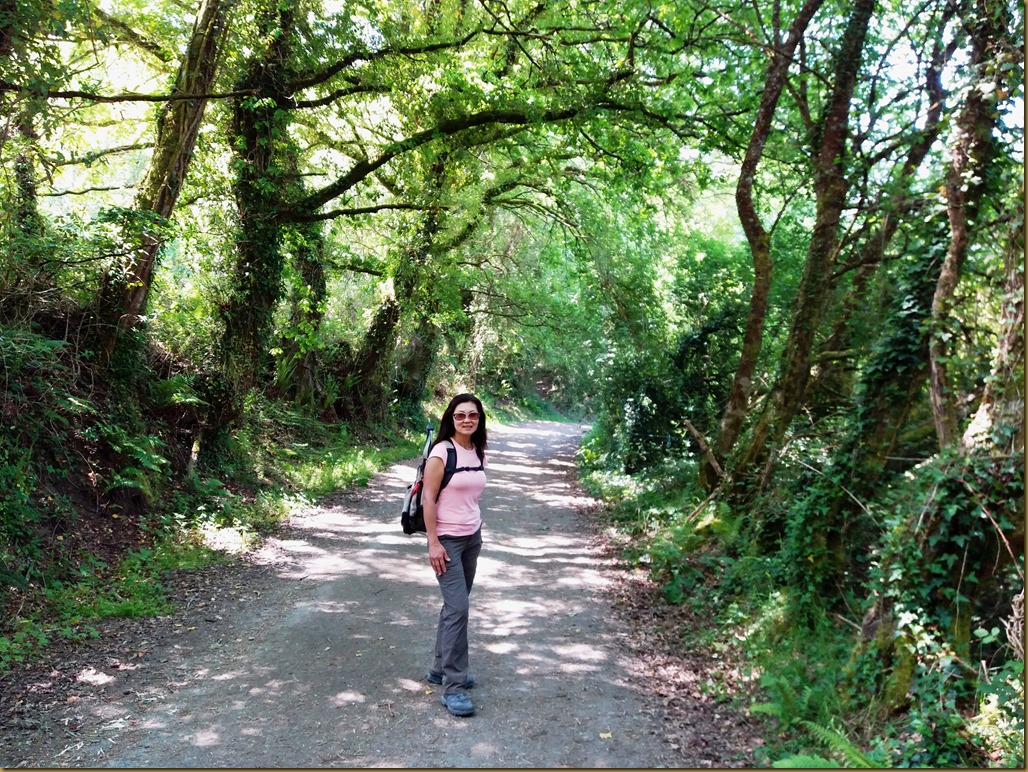 20180521_140751 - Boente - Caminho Frances Santiago Compostela