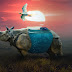 Rhinoceros Manipulation In Photoshop By Picture Fun