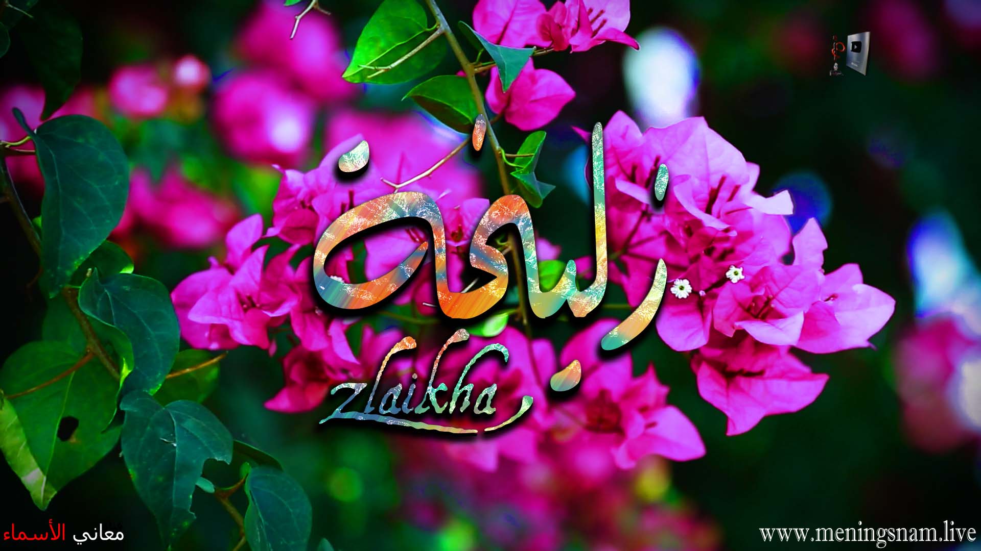 معنى اسم, زليخة, وصفات حاملة, هذا الاسم, zulaikha,