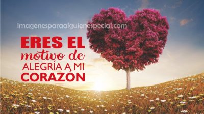 Imagenes Bonitas Con Frases De Amor