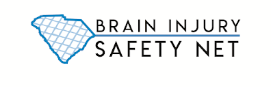 Brain Injury Safety Net logo