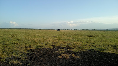 Taman Nasional Baluran