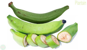 কাঁচা কলা; Plantain; Green bananas; Cooking banaba; 芭蕉; Plátano