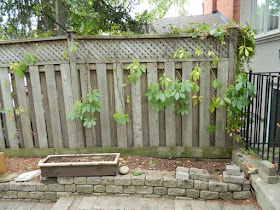Toronto Fall Cleanup Bedford Park Backyard Garden after by Paul Jung Gardening Services