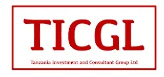 Internship at Tanzania Investment and Consultant Group Ltd