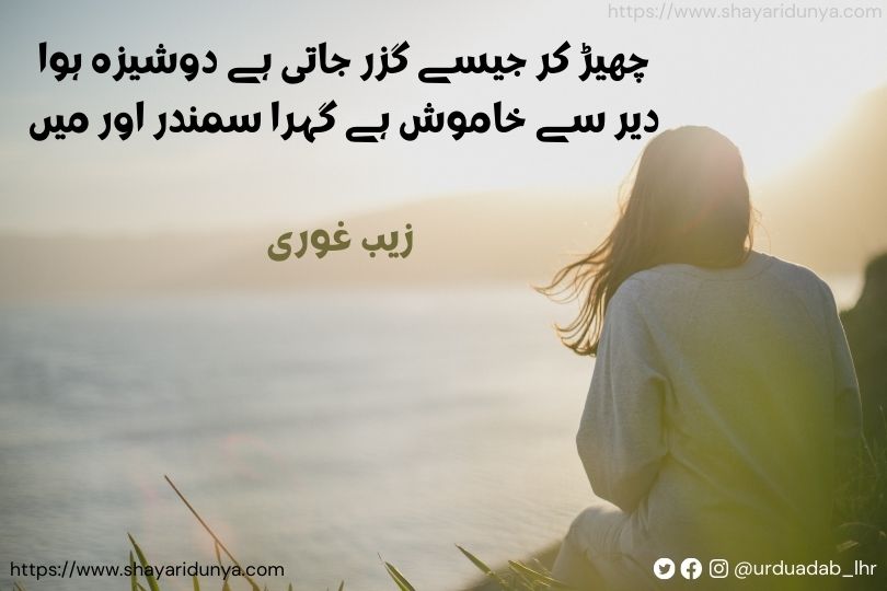 Top 30 khamoshi shayari urdu | khamoshi shayari 2 line | teri khamoshi shayari urdu