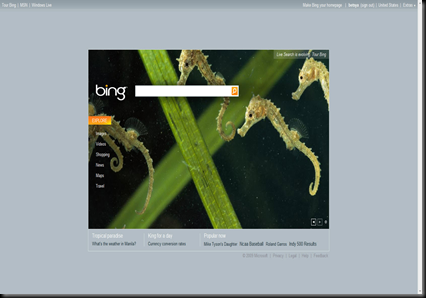 bing_home