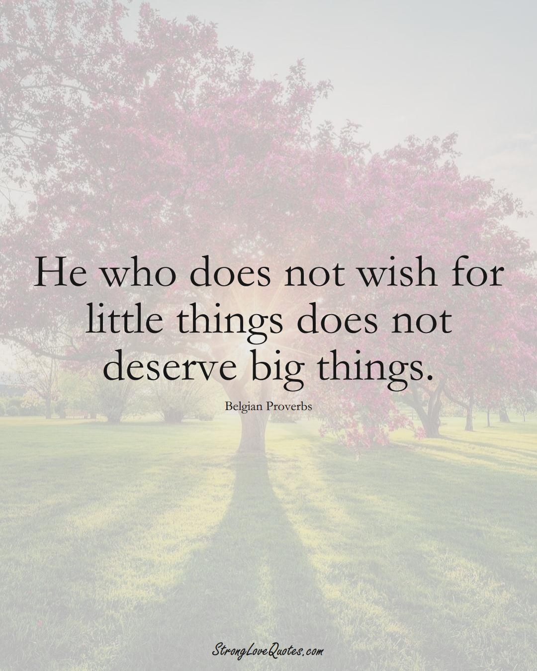 He who does not wish for little things does not deserve big things. (Belgian Sayings);  #EuropeanSayings