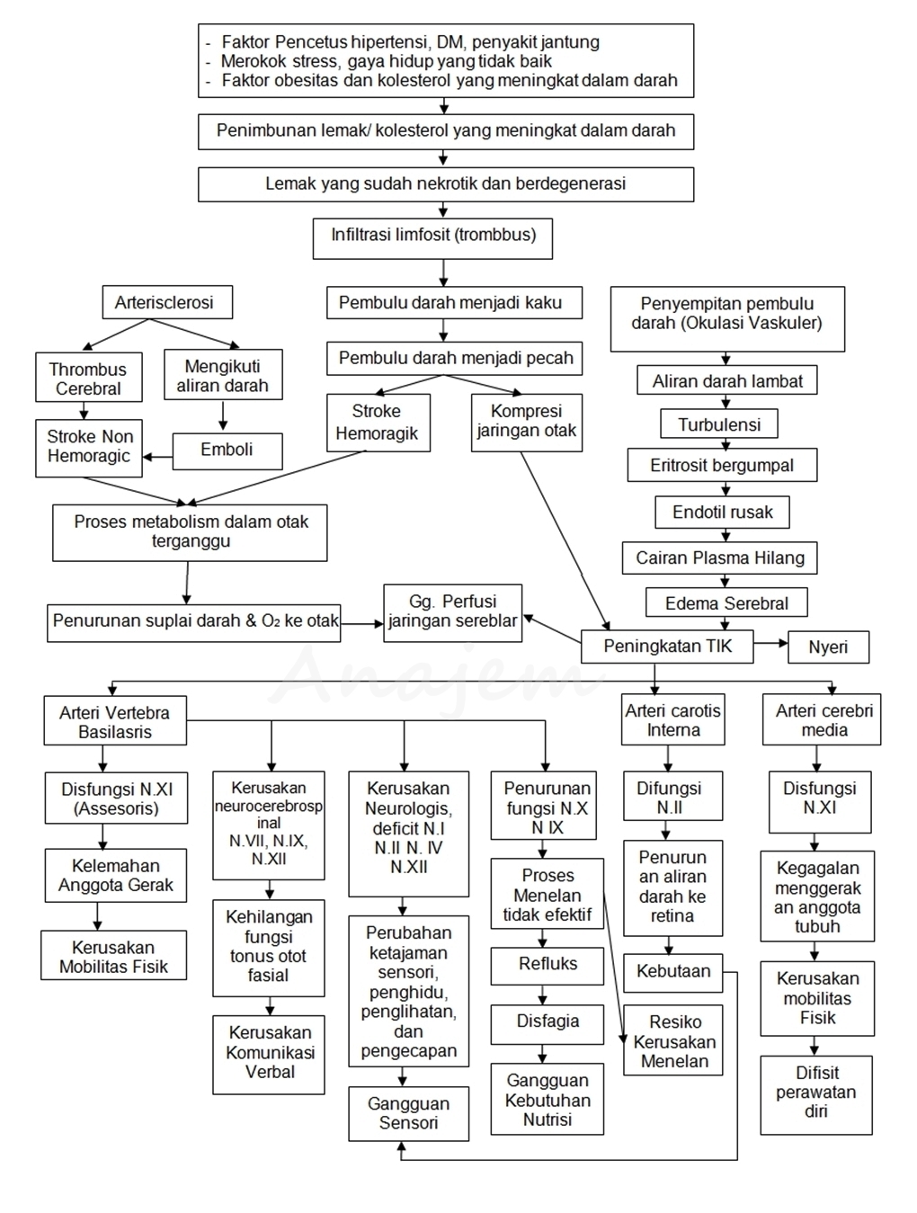 pathway stroke keperawatan