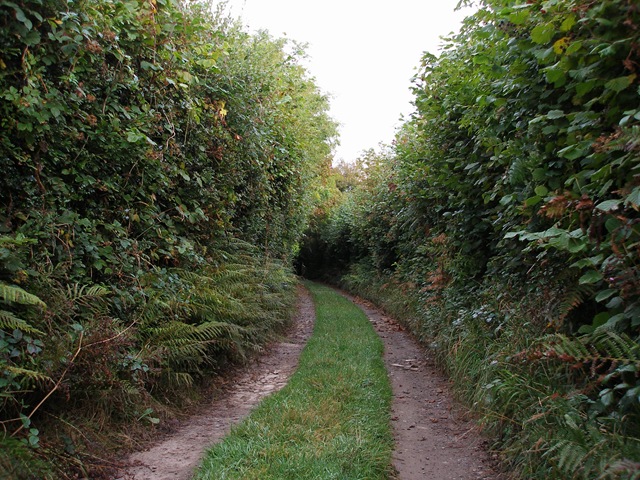 27th_september_2009