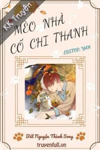 Mèo Nhà Cố Chi Thanh