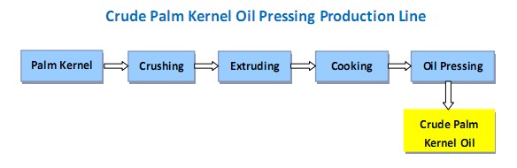 http://www.palmoilmills.org/products/palm-kernel-oil-press-plant/palm-kernel-oil-pressing-machine.html