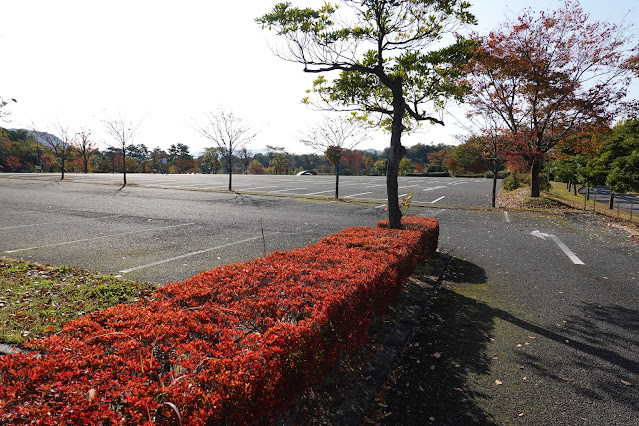 鳥取県西伯郡南部町鶴田　とっとり花回廊　駐車場