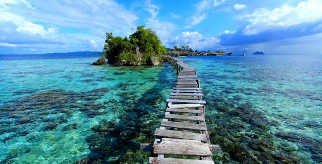 Tomini Bay, Sulawesi