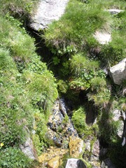 font de la perdiu- Valter