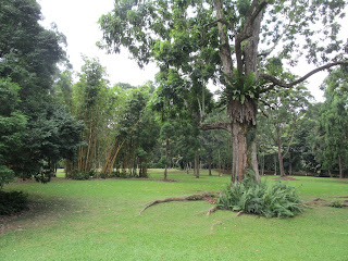 Botanical Gardens, Singapore