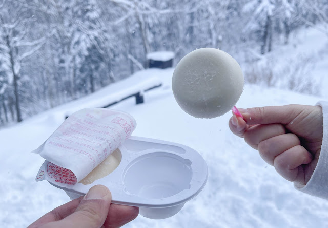 【北海道】觀光．大雪山國立公園必去的景點、俯瞰雪山美景｜黑岳