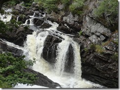 Rushing water of the Rogie Falls