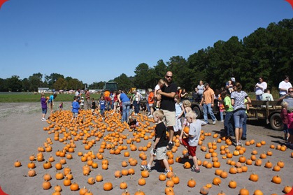 IMG_4340 IMG_4340