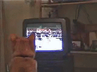 Gif animados engraçados 2