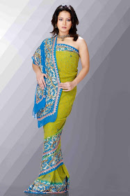 Indian-Saree-Model-Design-Pictures-Collection-2011-Wallpapers