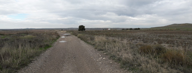 Bujaraloz en Venta de Santa Lucia, Camino de Santiago de Compostela, camino paralelo a la carretera N-II entre Bujaraloz y Venta de Santa Lucía