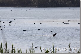 IMG_4028a IMG_4028a