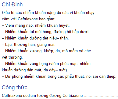 Hướng dẫn điều trị một số bệnh thường gặp ở chó mèo tại nhà