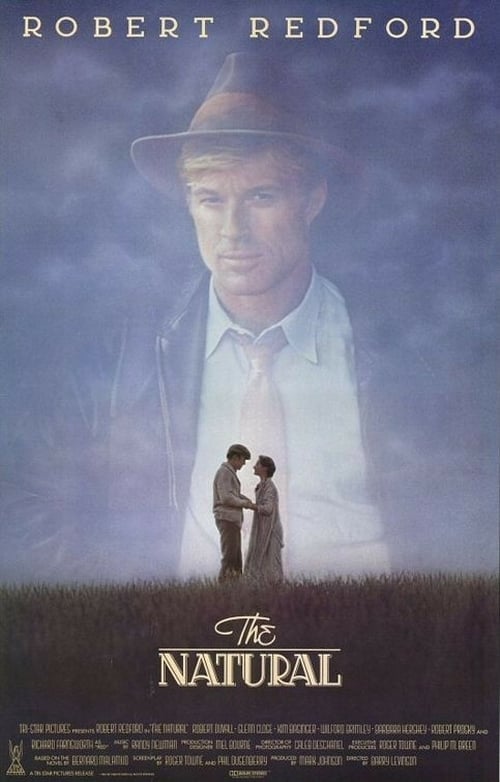 [HD] Le Meilleur 1984 Film Complet En Anglais