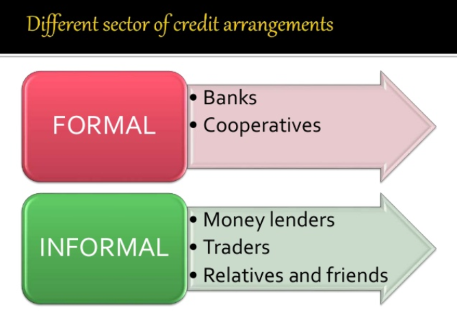 Money and Credit Chapter 3rd Class 10th  Part 4 Formal Sector Credit In India Notes