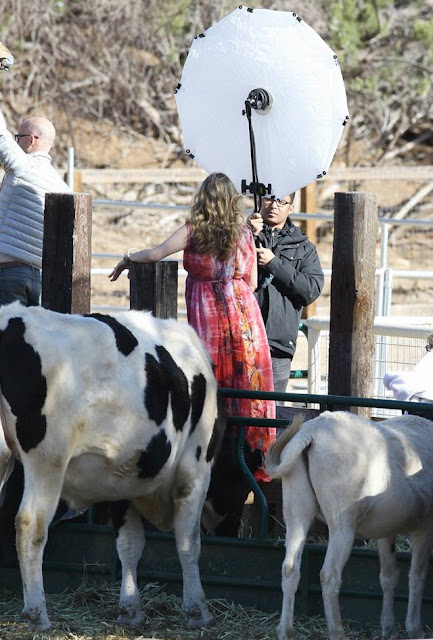 Pregnant Alicia Silverstone Poses For Vogue Magazine