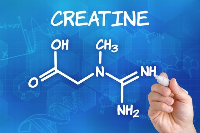 Creatine: Uses, Benefits, Dosages And More